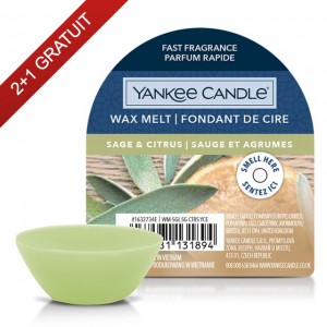 Ceara Parfumata Sage & Citrus, Yankee Candle